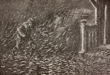 A Shower of Fish in Transylvania, Romania